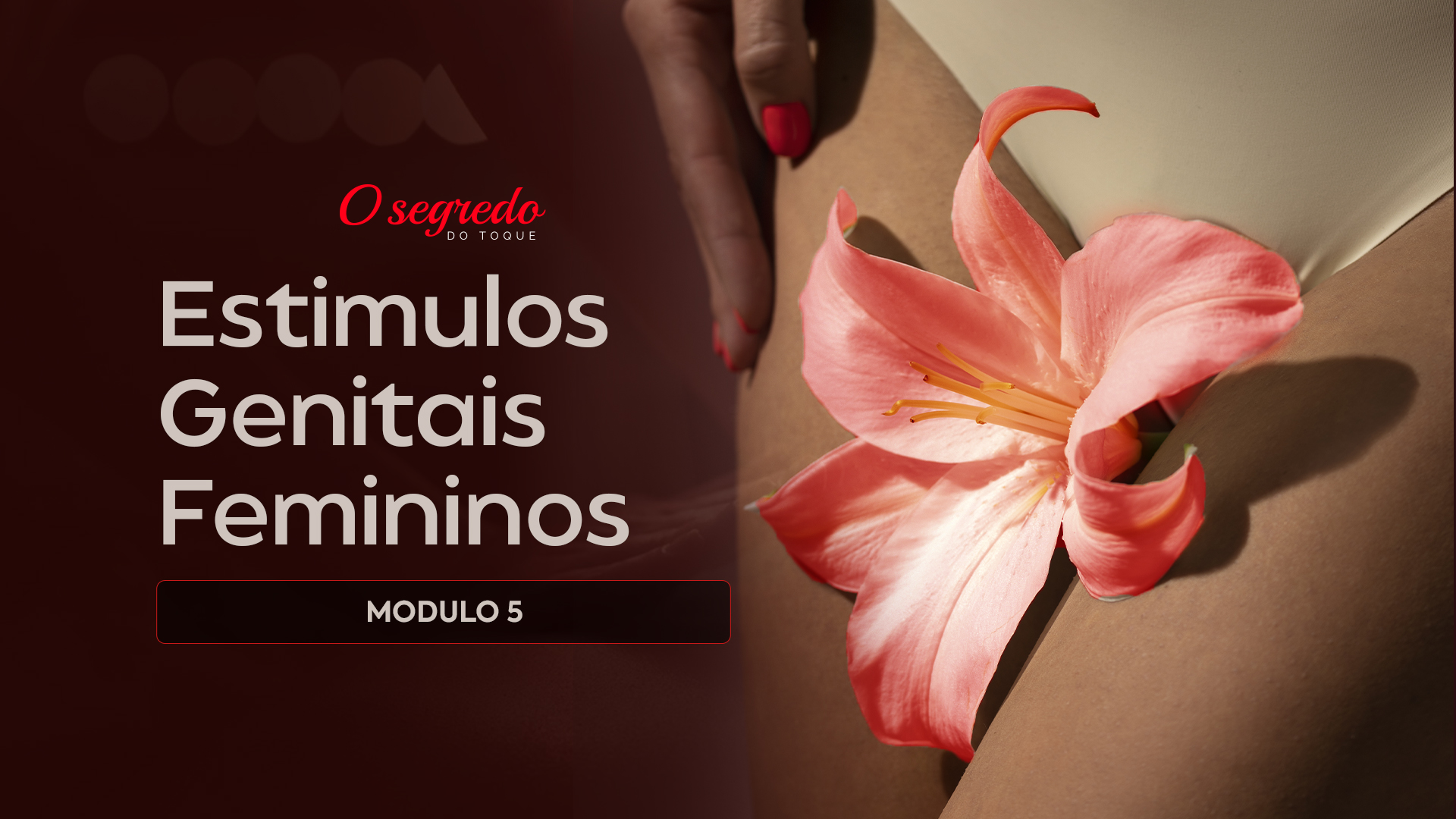 Módulo 5