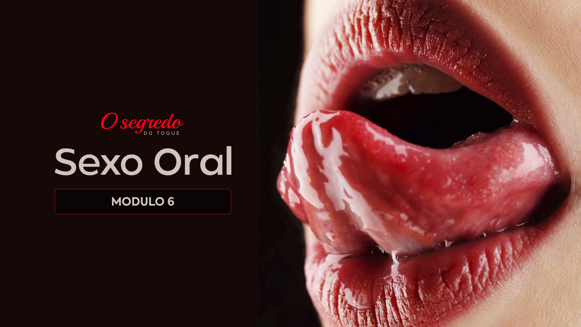 Módulo 6